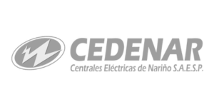 Cedenar