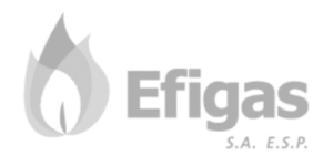 Efigas